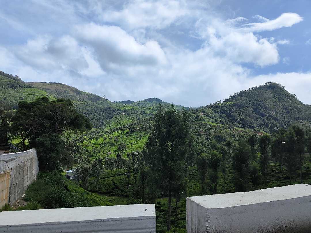 Photos of Treebo Trend Light House Ooty Hotel in Ooty