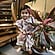 user photos