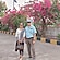 user photos