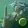 user photos