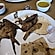 user photos