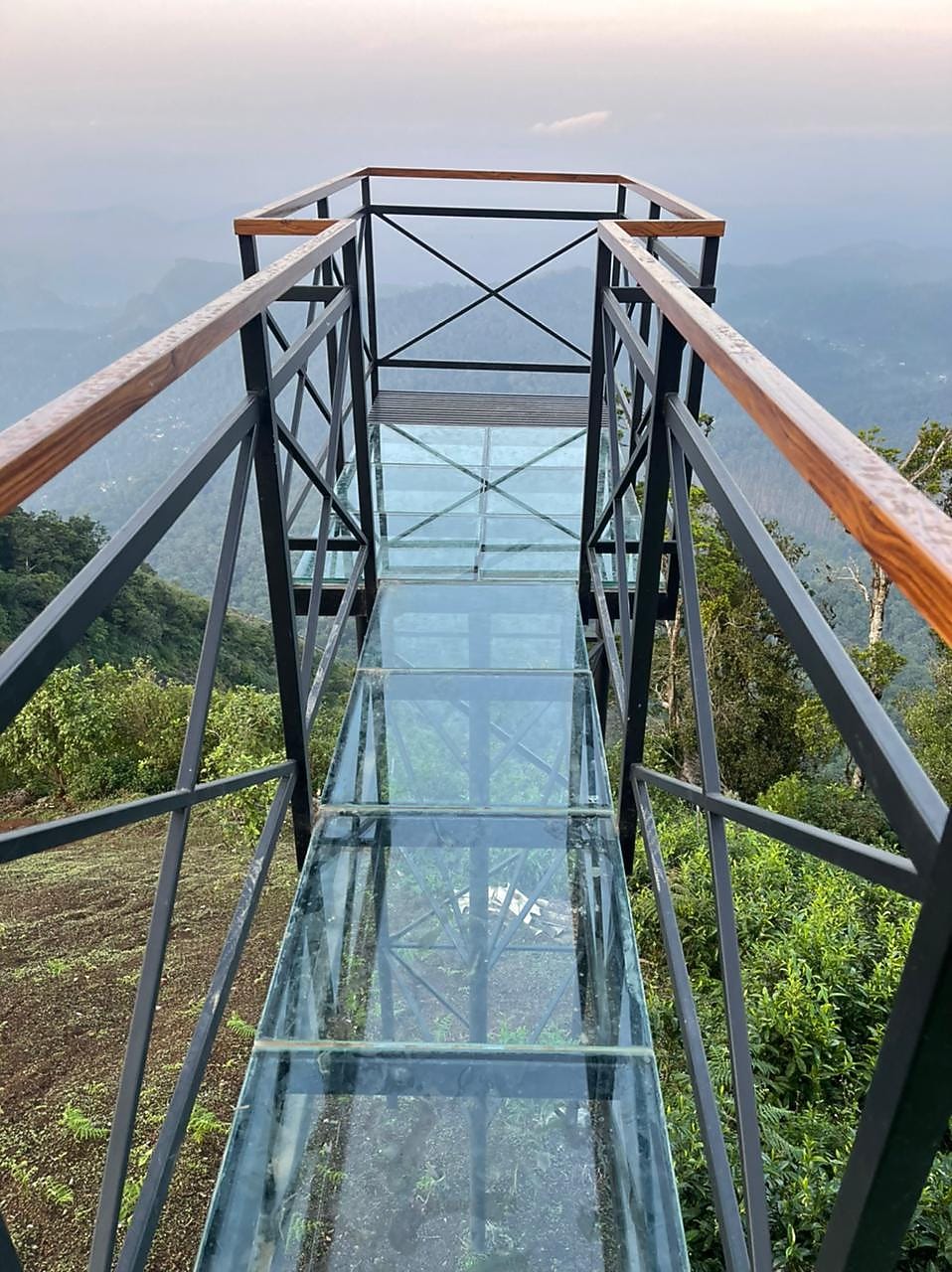 Forest County Munnar 𝗕𝗢𝗢𝗞 Munnar Resort 𝘄𝗶𝘁𝗵 𝗙𝗥𝗘𝗘 𝗖𝗮𝗻𝗰𝗲𝗹𝗹𝗮𝘁𝗶𝗼𝗻