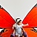 user photos