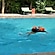 user photos