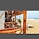 user photos