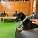 user photos