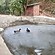 user photos