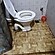 user photos