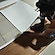 user photos
