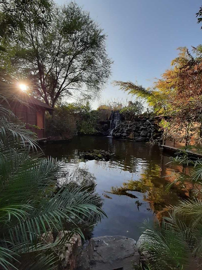 The Tree House Resort 𝗕𝗢𝗢𝗞 Jaipur Resort 𝘄𝗶𝘁𝗵 ₹𝟬 𝗣𝗔𝗬𝗠𝗘𝗡𝗧