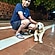 user photos
