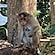 user photos