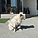 user photos