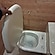 user photos