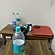 user photos