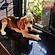 user photos