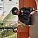 user photos