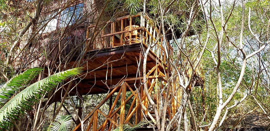 The Tree House Resort Jaipur Resort Price, Address & Reviews