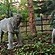 user photos