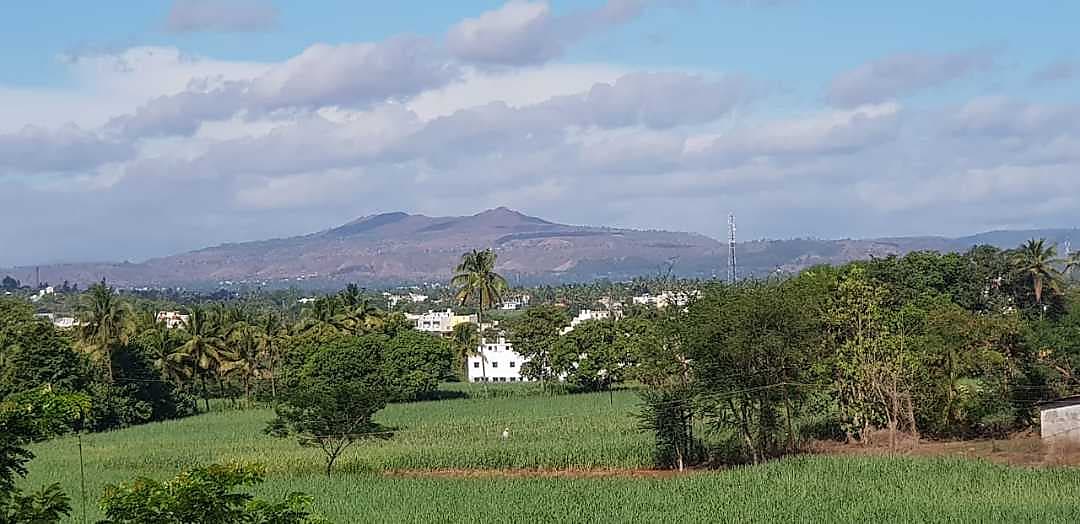 Hotel Shlok (Pure Veg) 100 Money Back 𝗕𝗢𝗢𝗞 Kolhapur Hotel 𝘄𝗶𝘁𝗵 ₹𝟬 𝗣𝗔𝗬𝗠𝗘𝗡𝗧