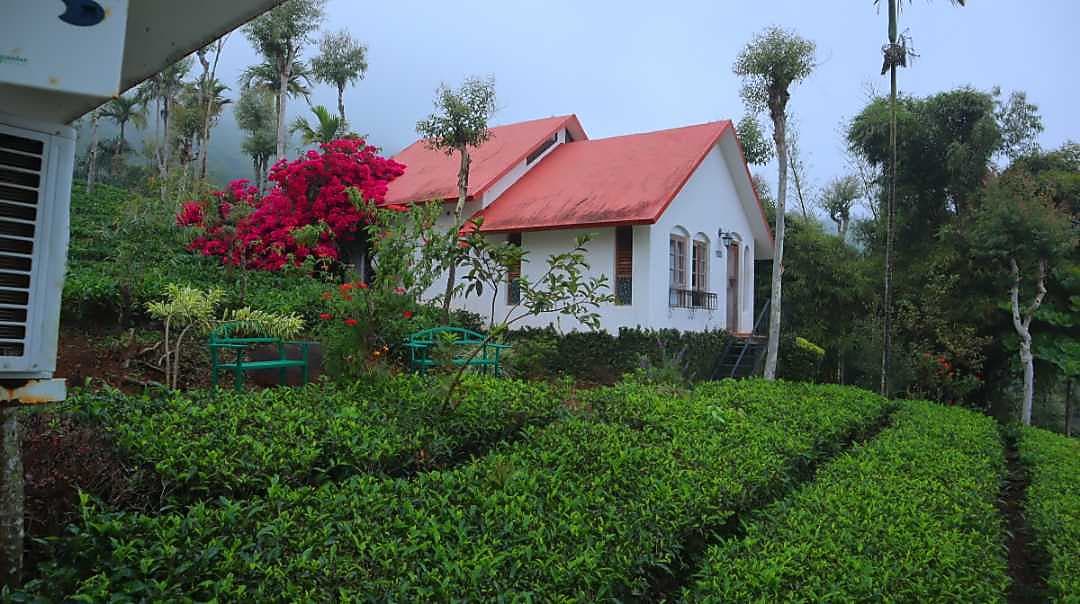 Tea Terrace Vythiri 𝗕𝗢𝗢𝗞 Wayanad Resort 𝘄𝗶𝘁𝗵 𝗙𝗥𝗘𝗘 𝗖𝗮𝗻𝗰𝗲𝗹𝗹𝗮𝘁𝗶𝗼𝗻