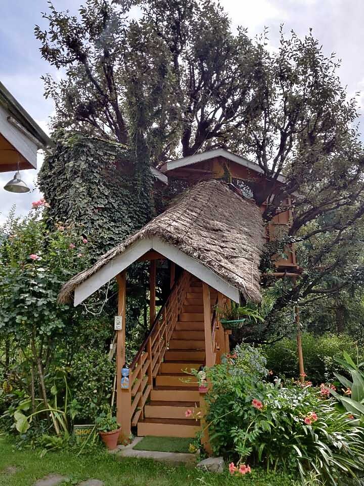 Tree house cottages Manali Cottage Price, Address & Reviews