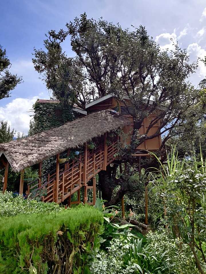 Tree house cottages Manali Cottage Price, Address & Reviews