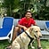 user photos