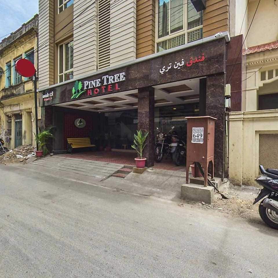 Photos of Pine Tree Boutique Hotel (Near US Consulate) Hotel in Chennai