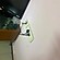 user photos