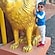 user photos