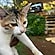 user photos