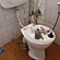 user photos