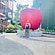 user photos