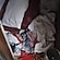 user photos