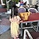 user photos
