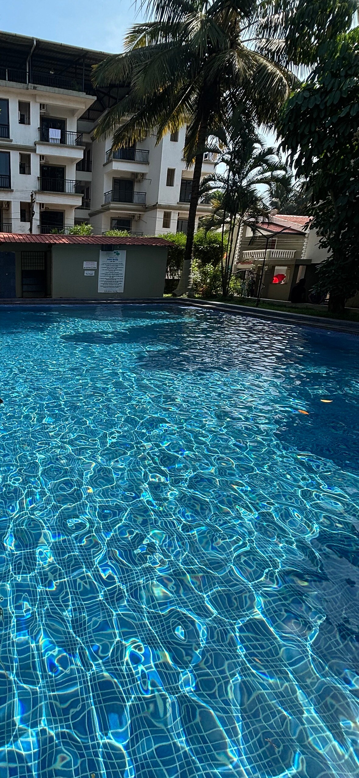 Photo inspiration: Picture Idea: Aavaas Elite 1 Bhk Pool Apartment 𝗕𝗢𝗢𝗞 Goa Apartment 𝘄𝗶𝘁𝗵