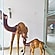 user photos