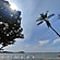 user photos