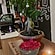 user photos