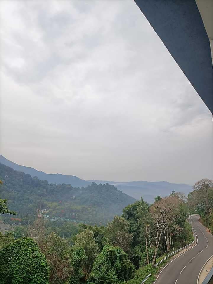 Reviews of Trivers Resort Munnar Resort in Munnar