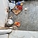 user photos