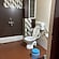 user photos