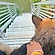 user photos
