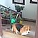 user photos