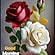user photos