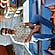 user photos