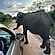 user photos