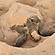 user photos