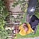 user photos